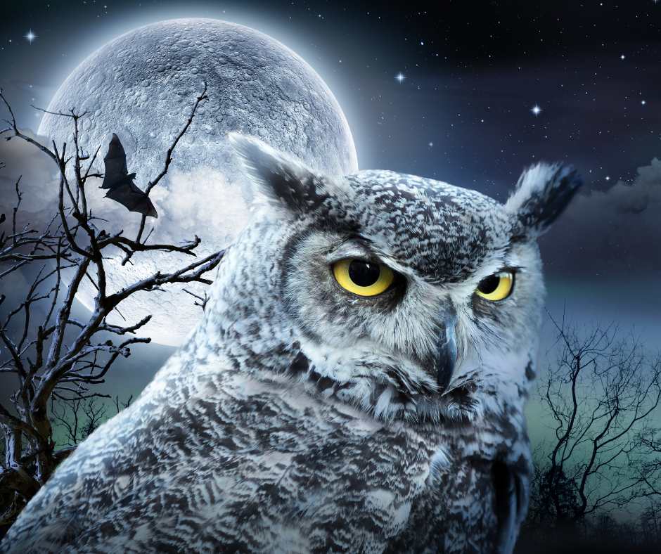 Night Scene Painting Art